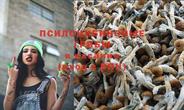 эйфоретик Нягань