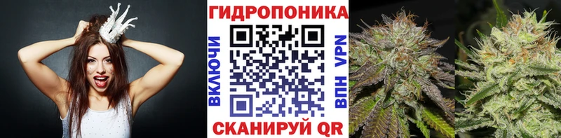 дарнет шоп  Сычёвка  Бошки марихуана индика 